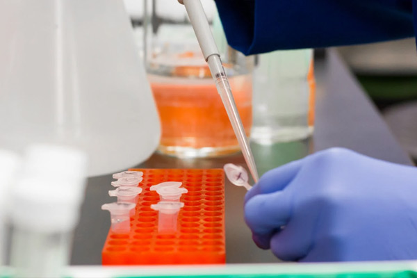 ������֤�볢���Ҽ�Ա�